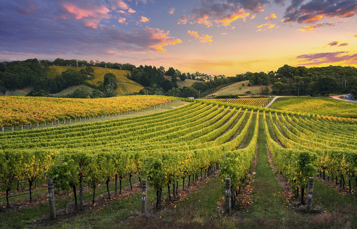 Shenandoah Wine and Beer Trail Across the Valley